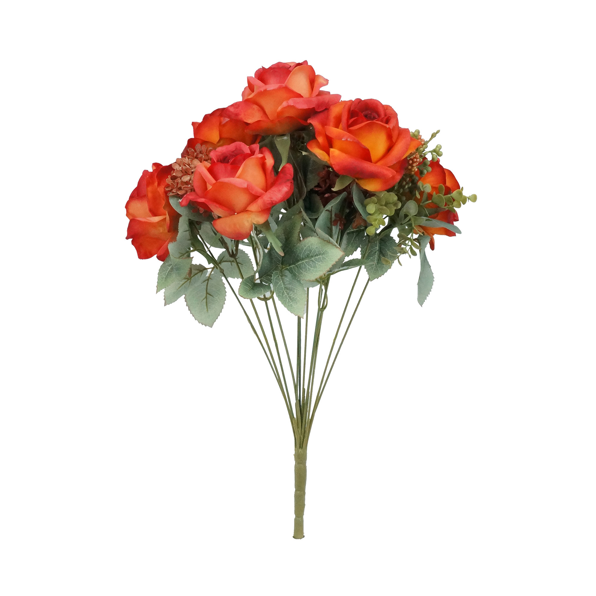 Curso intensivo de dancinha 💃