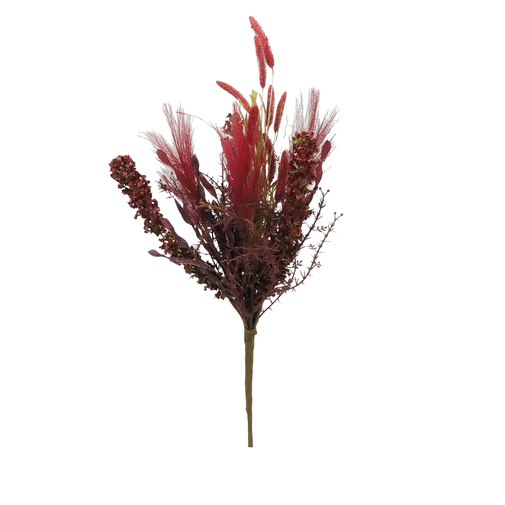 Passeio de aventura light