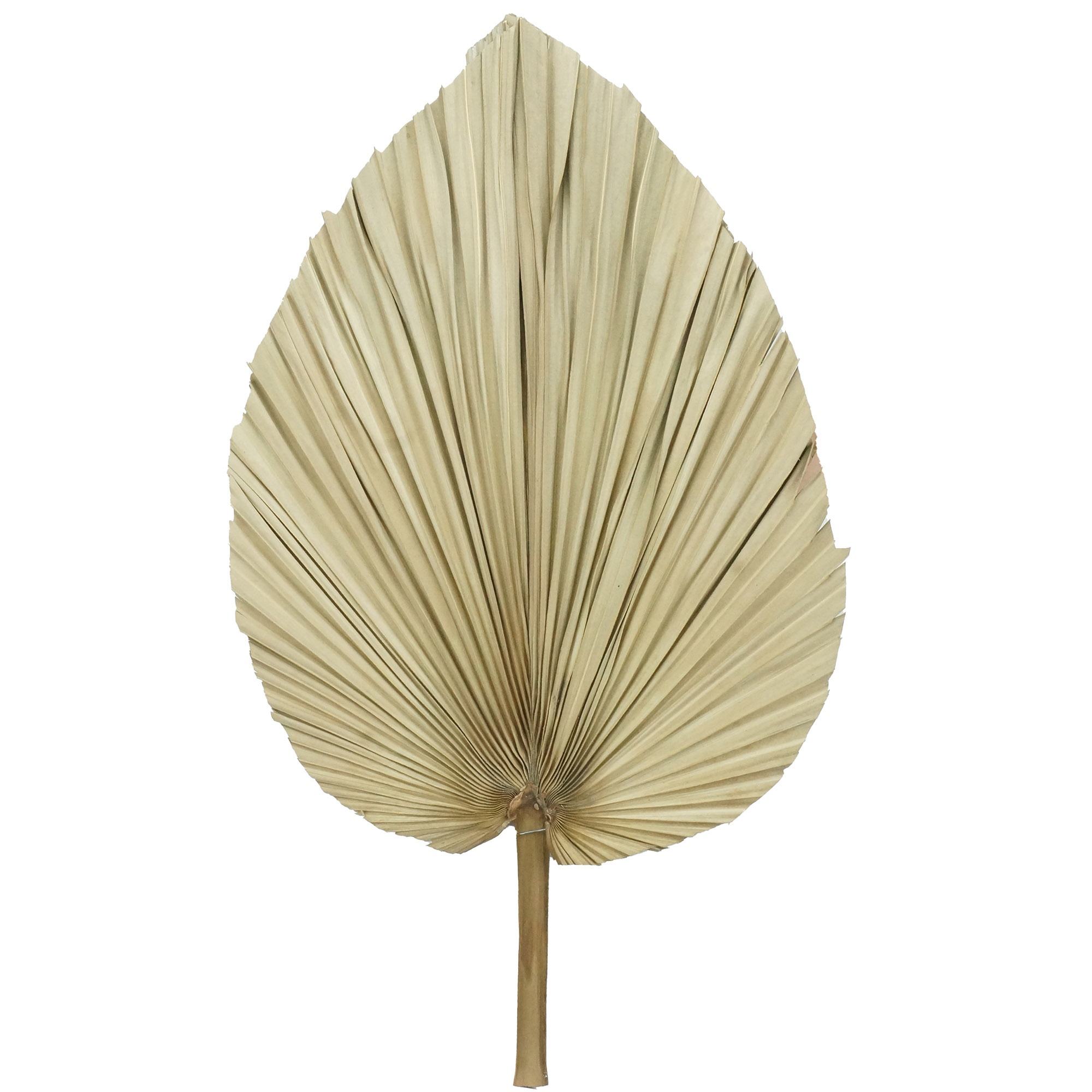 Noite de jogos + pizza